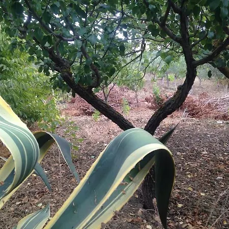 Horská chata Casa Adriana Affascinante Casa In Pietra Buseto Palizzolo